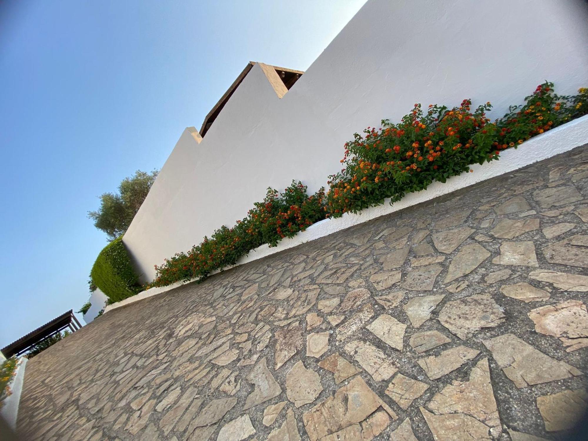 Villa Da Rosa أولبيا المظهر الخارجي الصورة